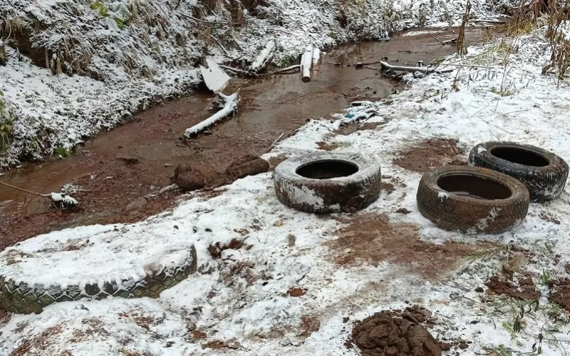 Покрышки, которые разбросаны вдоль реки Чемошурка