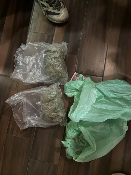 С крупной партией марихуаны задержали ижевчанина