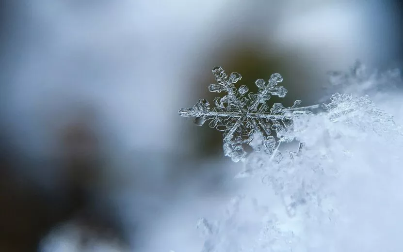 Погода в Ижевске на день: 14 января ожидается умеренный снегопад и до -4°С