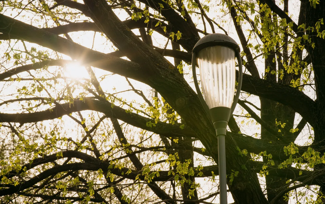 Погода в Ижевске на день: 29 апреля ждем +10°С и усиление ветра