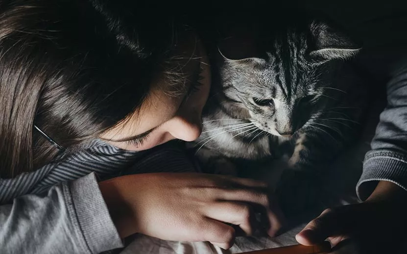 5 причин, почему без кота жизнь не та