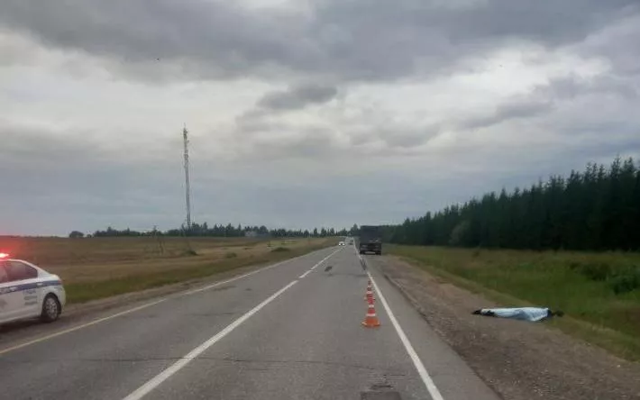 Пьяный пешеход скончался от наезда «КамАЗа» в Удмуртии