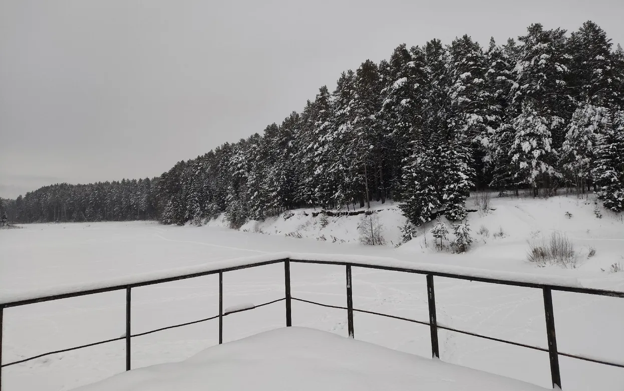 Погода в Ижевске на день: 3 января ждем небольшой снег и до -12°С