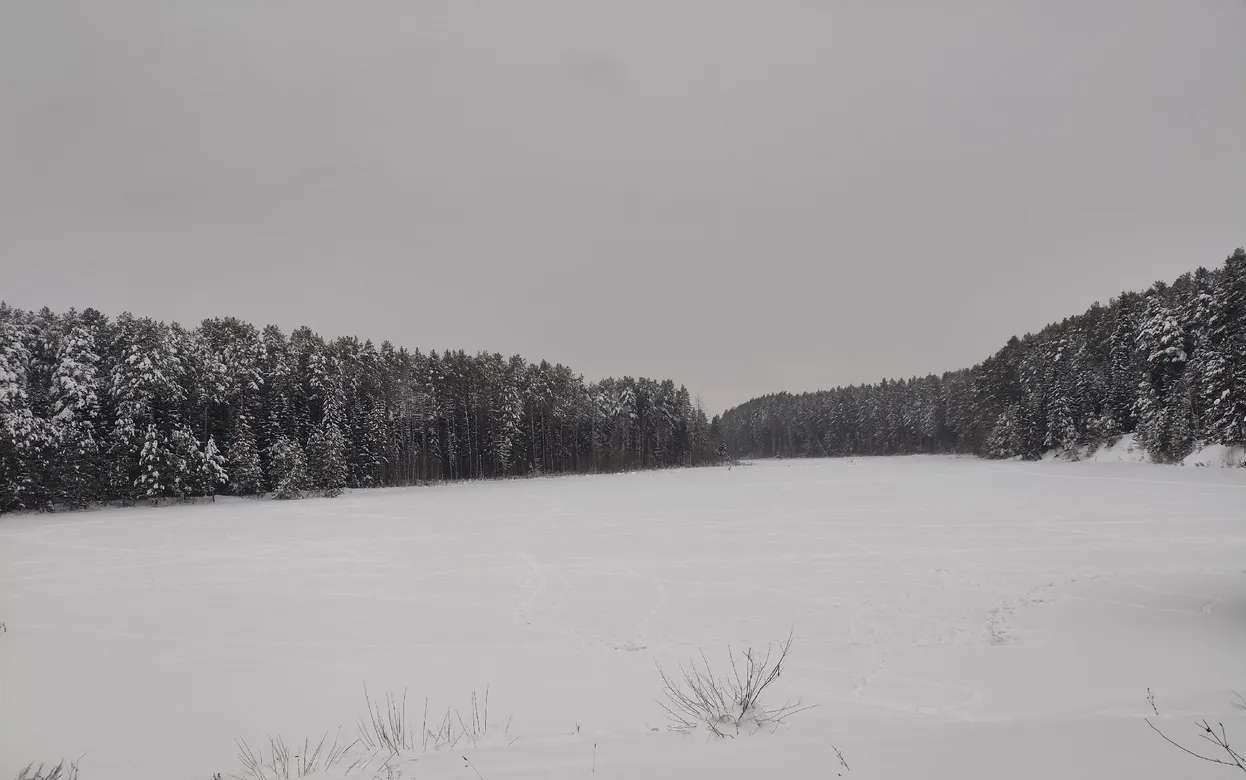 Погода в Ижевске на неделю: с 9 по 15 февраля ждем колебание температур и снег