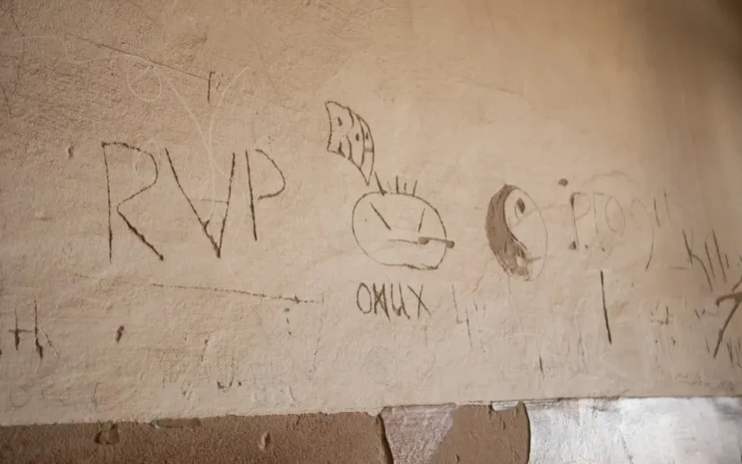 Фото: Данил Иванов 