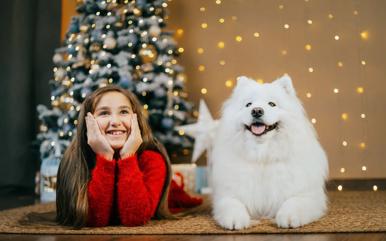 В Удмуртии стартовала благотворительная акция «Елка для каждого - 2025»