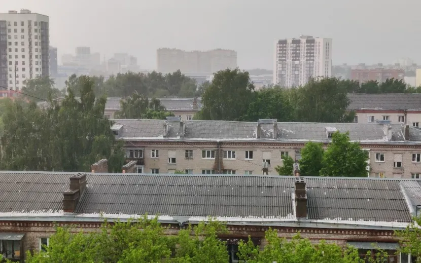 Фото: Полина Андрианова