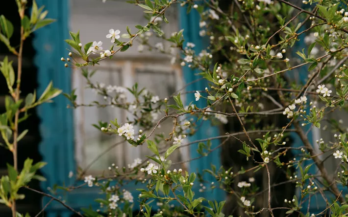 Погода на день в Ижевске: 12 мая преимущественно без осадков