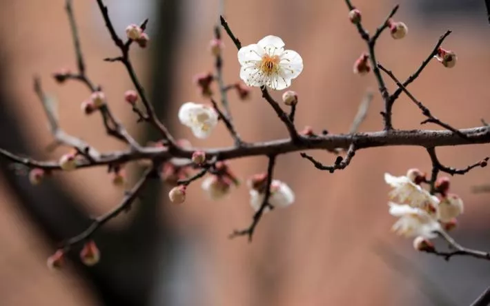Гороскоп на 12 мая: Ракам стоит использовать юмор, а Скорпионам – опасаться компромата