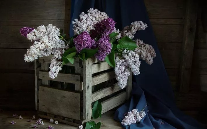 Гороскоп на 6 мая: Ракам стоит решиться на новую стрижку, а Рыбам придется сделать выбор