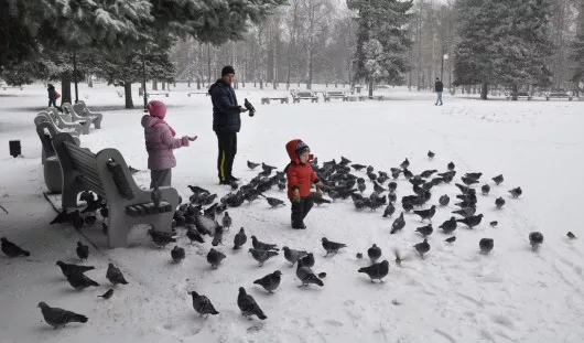архив редакции