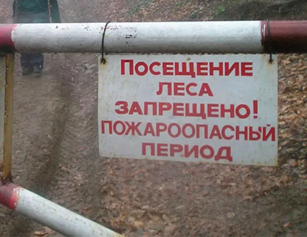 chastnik.ru