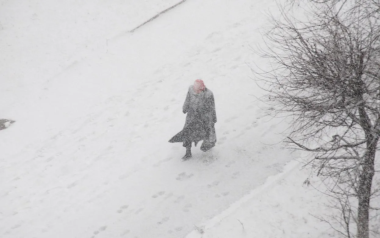 Месячная норма осадков выпала за 5 дней в Ижевске