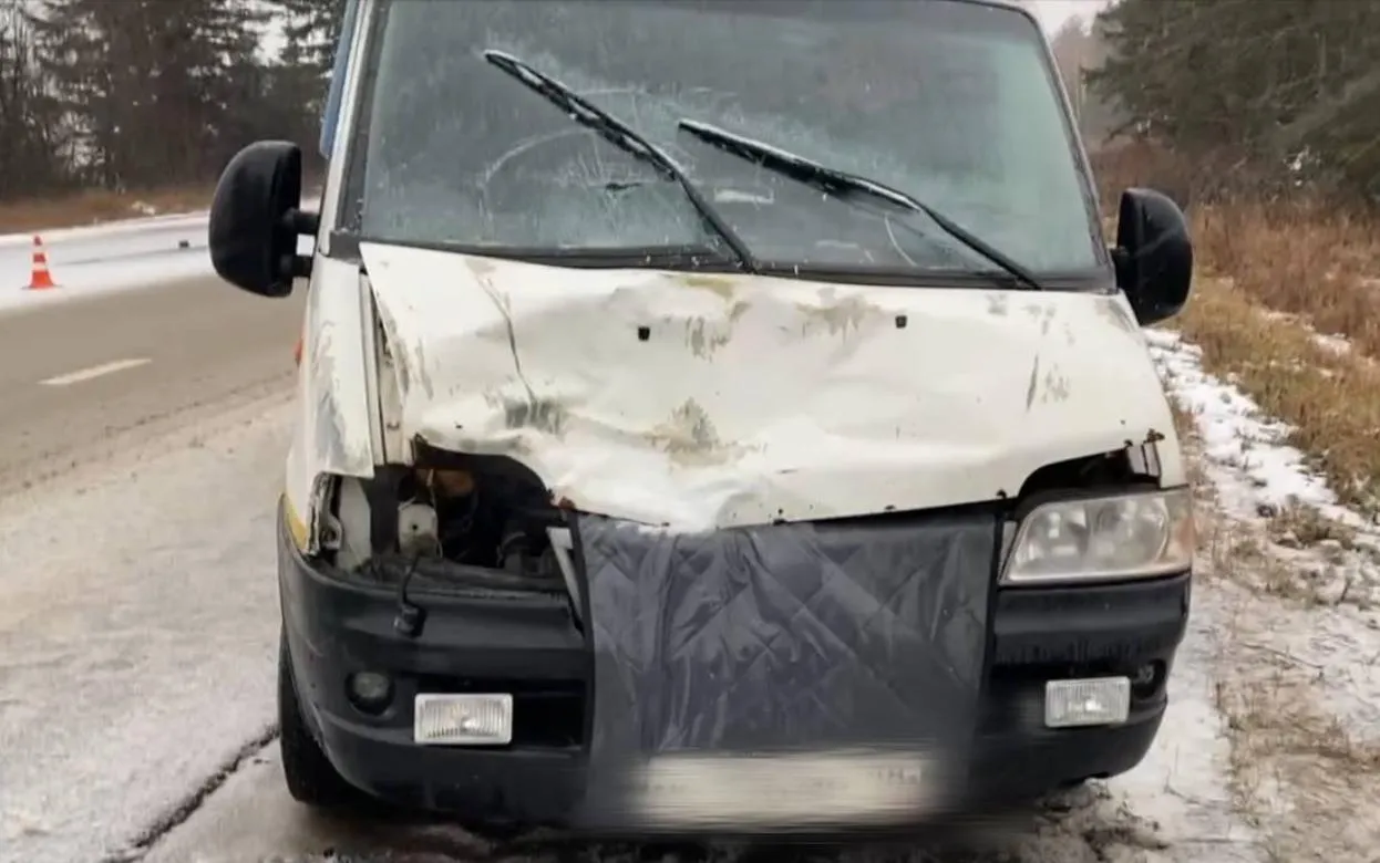 Пенсионерку насмерть сбили на трассе в Удмуртии