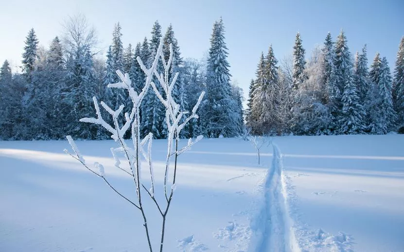 Погода в Ижевске на день: 7 февраля ждем ночные -17°С и солнце днем