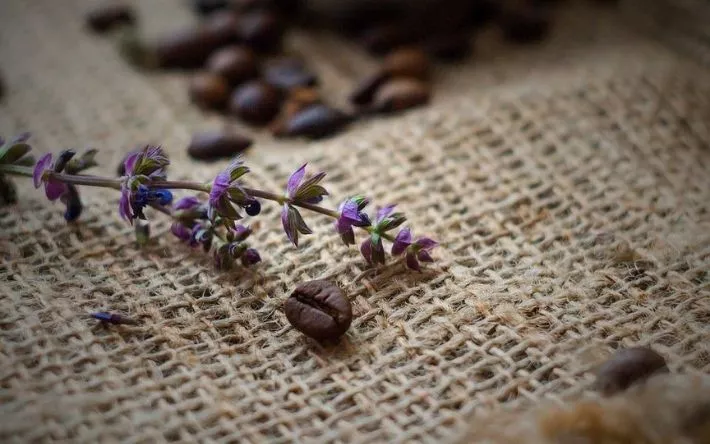 Гороскоп на 22 мая: Скорпионы почувствуют просветление, а Рыбы выгорание