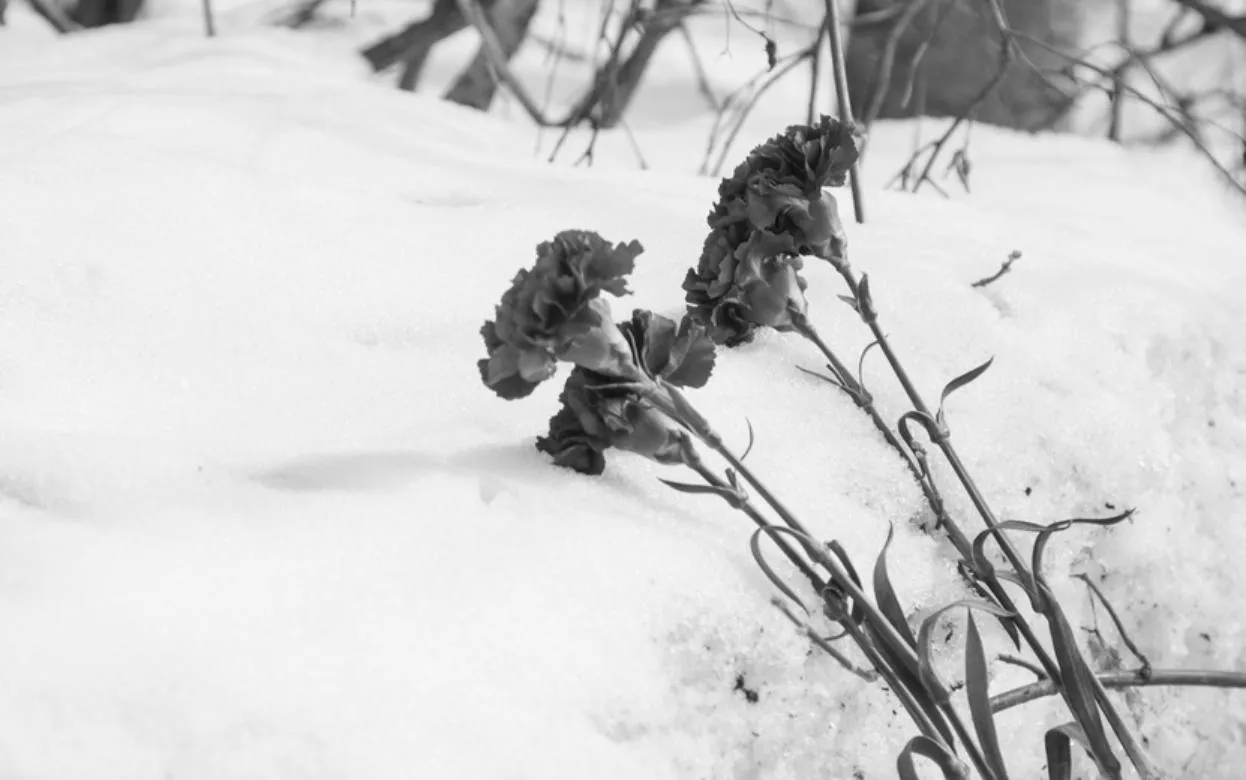 С погибшими на СВО ефрейтором и рядовым простились в Удмуртии