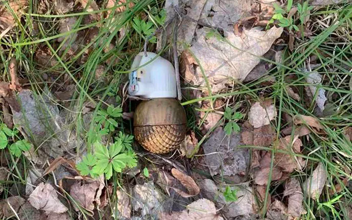 Боевую гранату нашли и обезвредили в Ленинском районе Ижевска