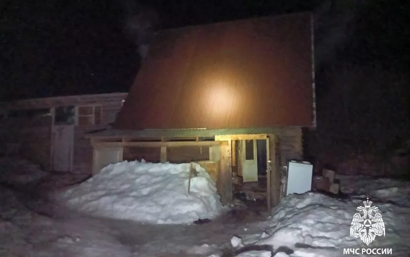 Павлины и куры погибли на пожаре под Ижевском
