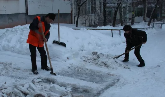 автора, rosdornii59.ru