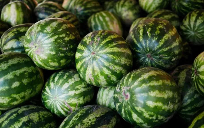 Пьяный похититель арбуза из Удмуртии сломал полицейскому нос