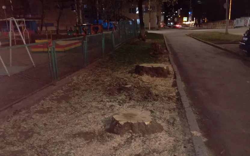 Главные новости Ижевска на 24 апреля: спилили клены и доставили Вечный огонь