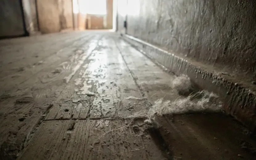 Фото: Данил Иванов 