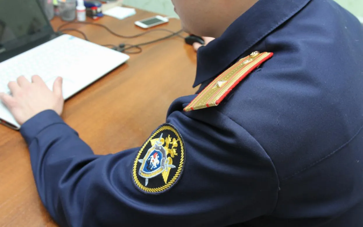 СК начал проверку по факту гибели пенсионерки во время грозы в Удмуртии