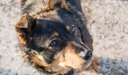 архив редакции