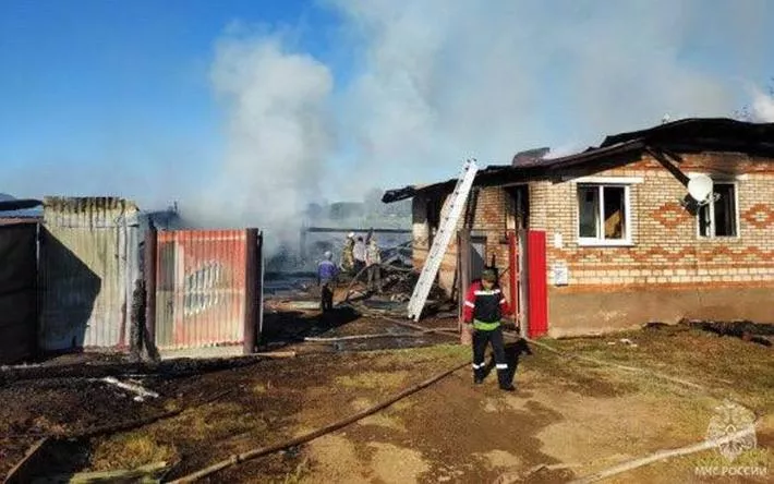 Теленок и 15 кур погибли при пожаре в Удмуртии