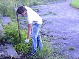 vkontakte.ru/club28375784