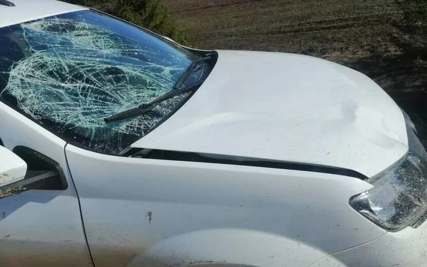 Нетрезвый пешеход пострадал в ДТП в Увинском районе