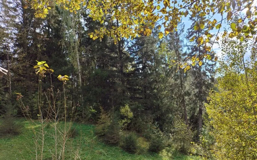 Погода в Ижевске на день: 11 октября ждем дневные +15°С