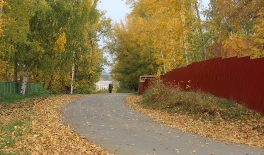 автора