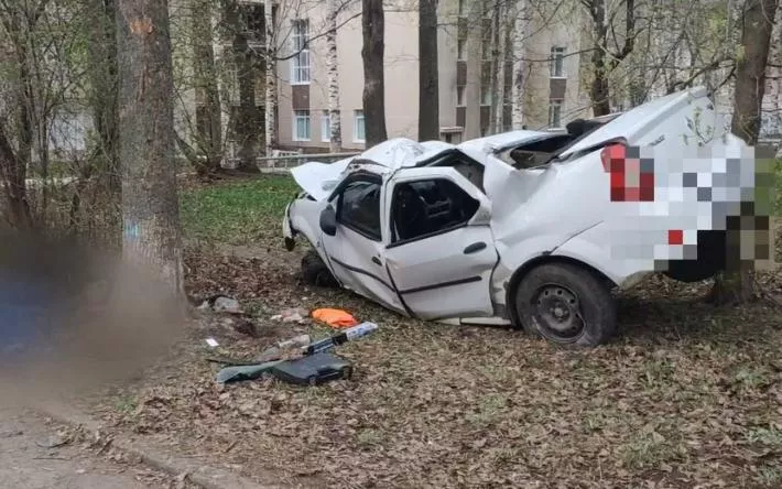 Водитель «Рено» погиб, врезавшись в дерево у медакадемии в Ижевске
