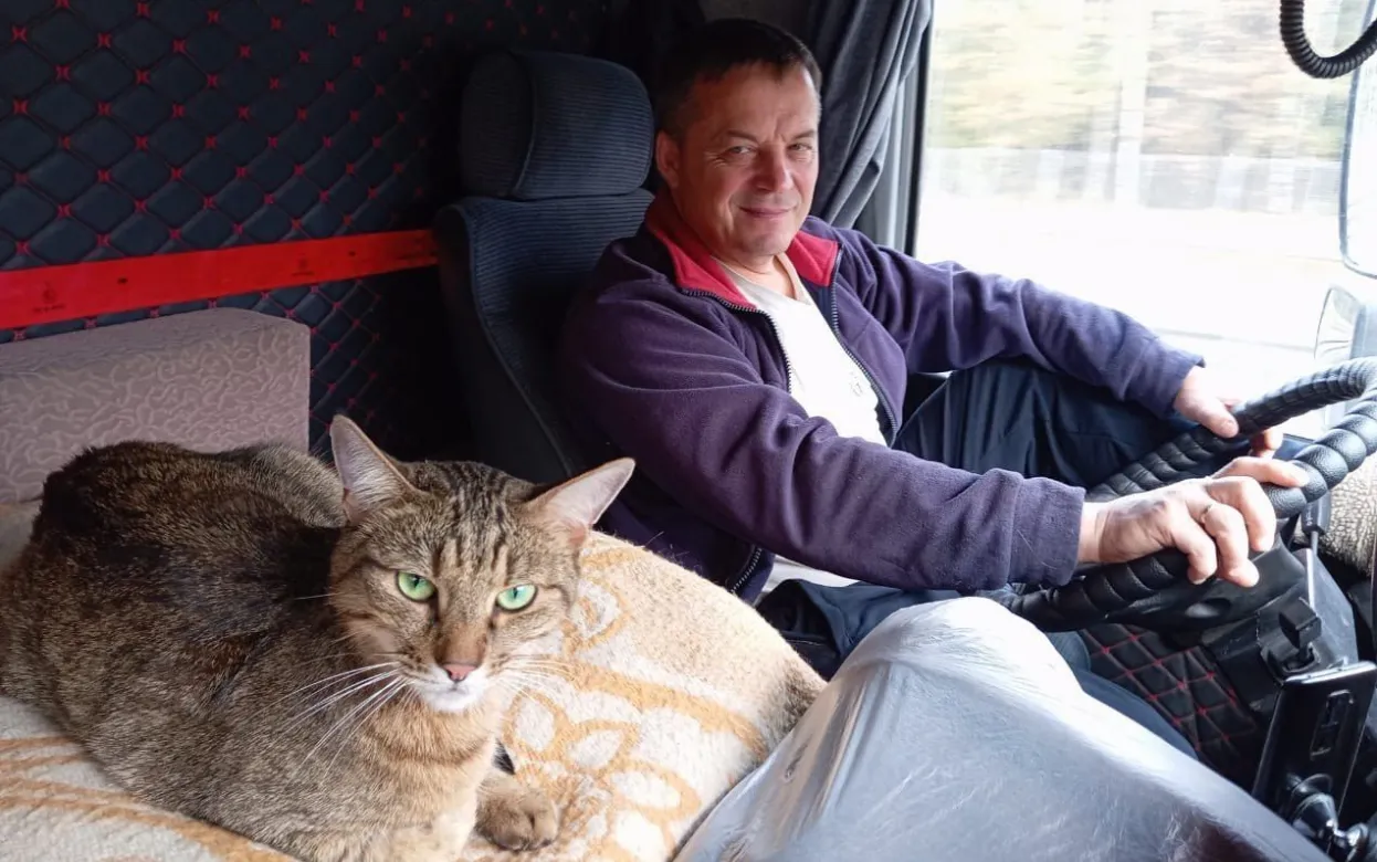 Дорога домой: московский кот Федос потерялся в Удмуртии и нашелся на Дальнем Востоке спустя шесть дней