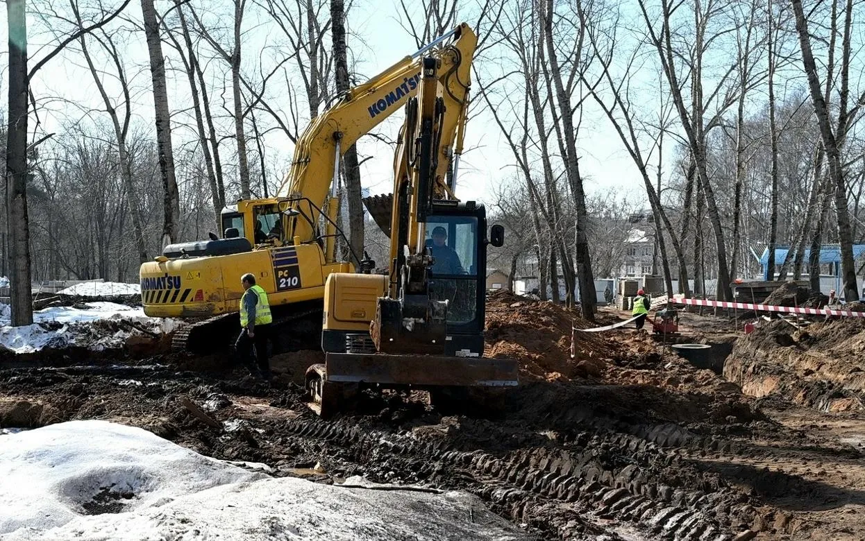 54 дерева вырубили в Березовой роще Ижевска