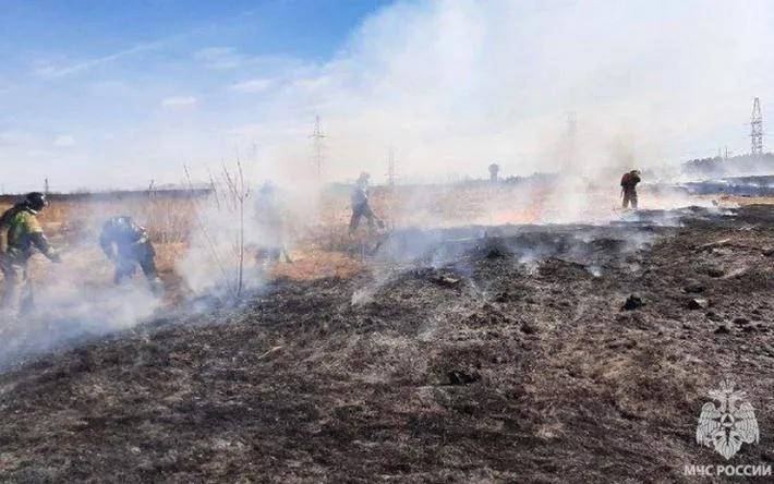 Сухая трава загорелась на окраине Ижевска