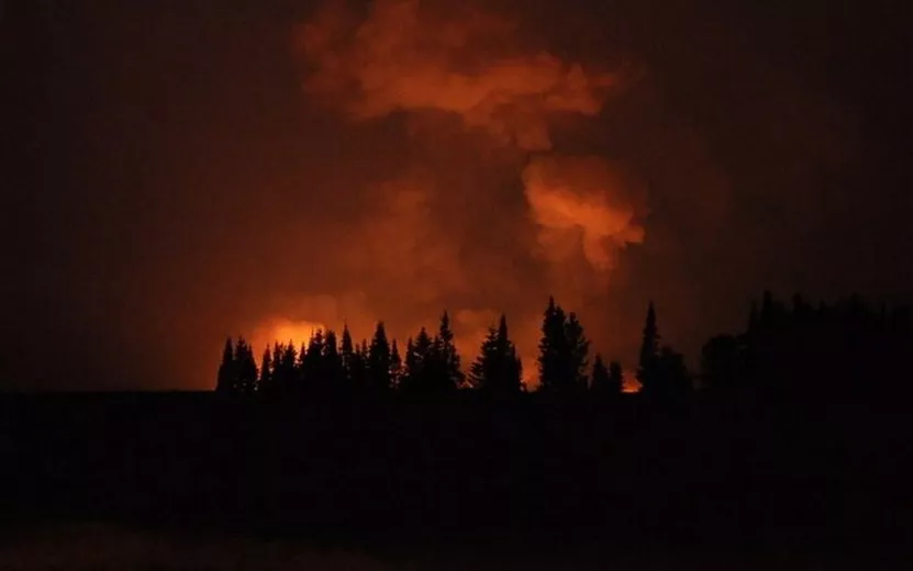 Высокая пожароопасность лесов сохраняется в Удмуртии