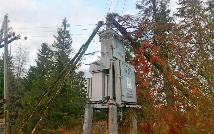 Более 400 населенных пунктов Удмуртии остались без света из-за сильного ветра