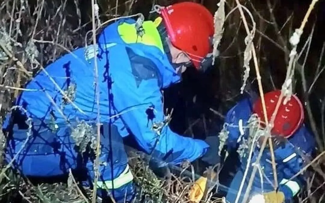 Спасатели в Удмуртии вытащили упавшую в реку собаку