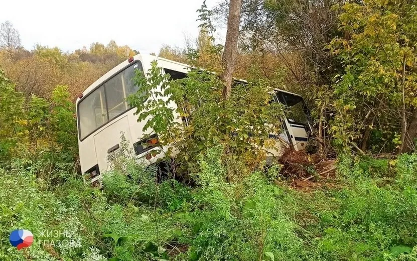 Пассажирский автобус вылетел с дороги в Удмуртии