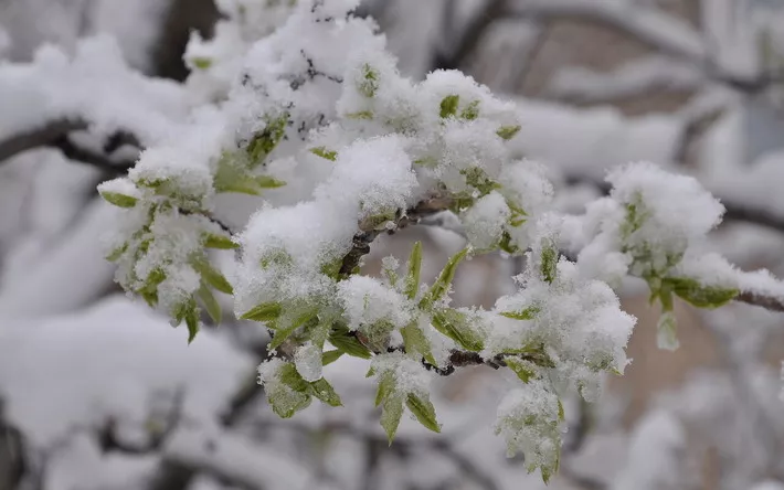 Погода в Ижевске на день: 1 апреля ожидается до +10 °С