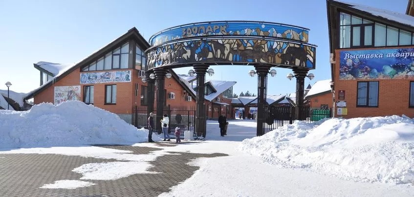 Альпака родился в ижевском зоопарке