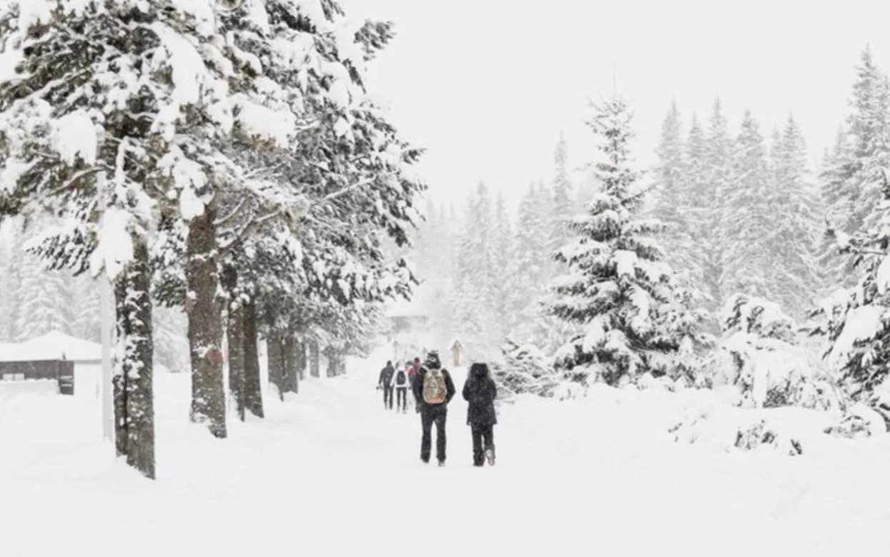 Опрос IZHLIFE: 59 % ижевчан стали дольше добираться до работы из-за снегопадов