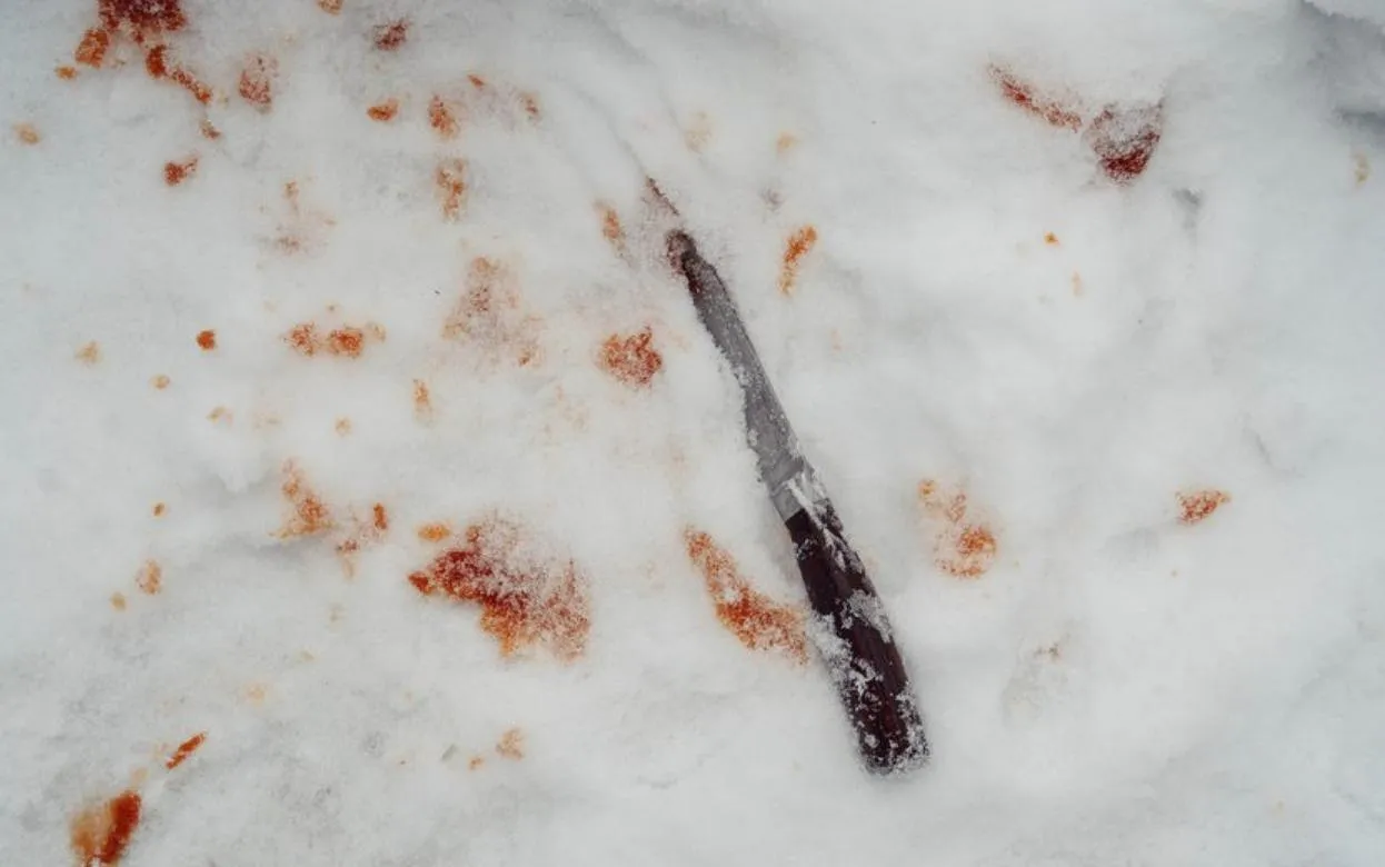 Жителя Удмуртии осудят за нападение с ножом на мать