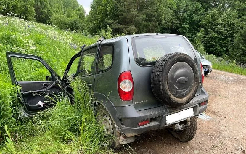 Пожилой водитель «Нивы» погиб в ДТП под Воткинском