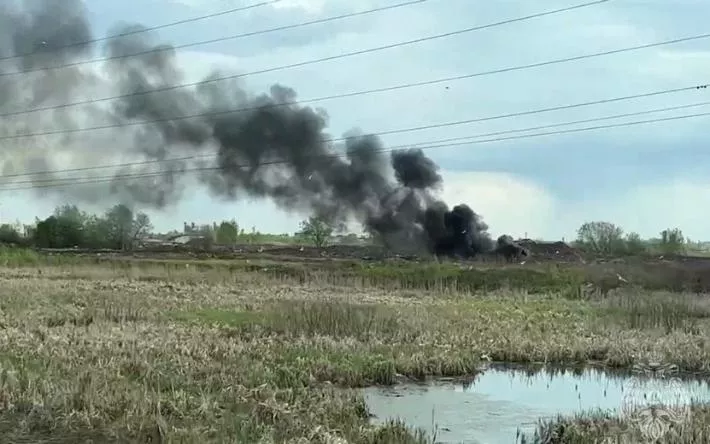 Изъятую у населения домашнюю птицу продолжают сжигать в Ижевске