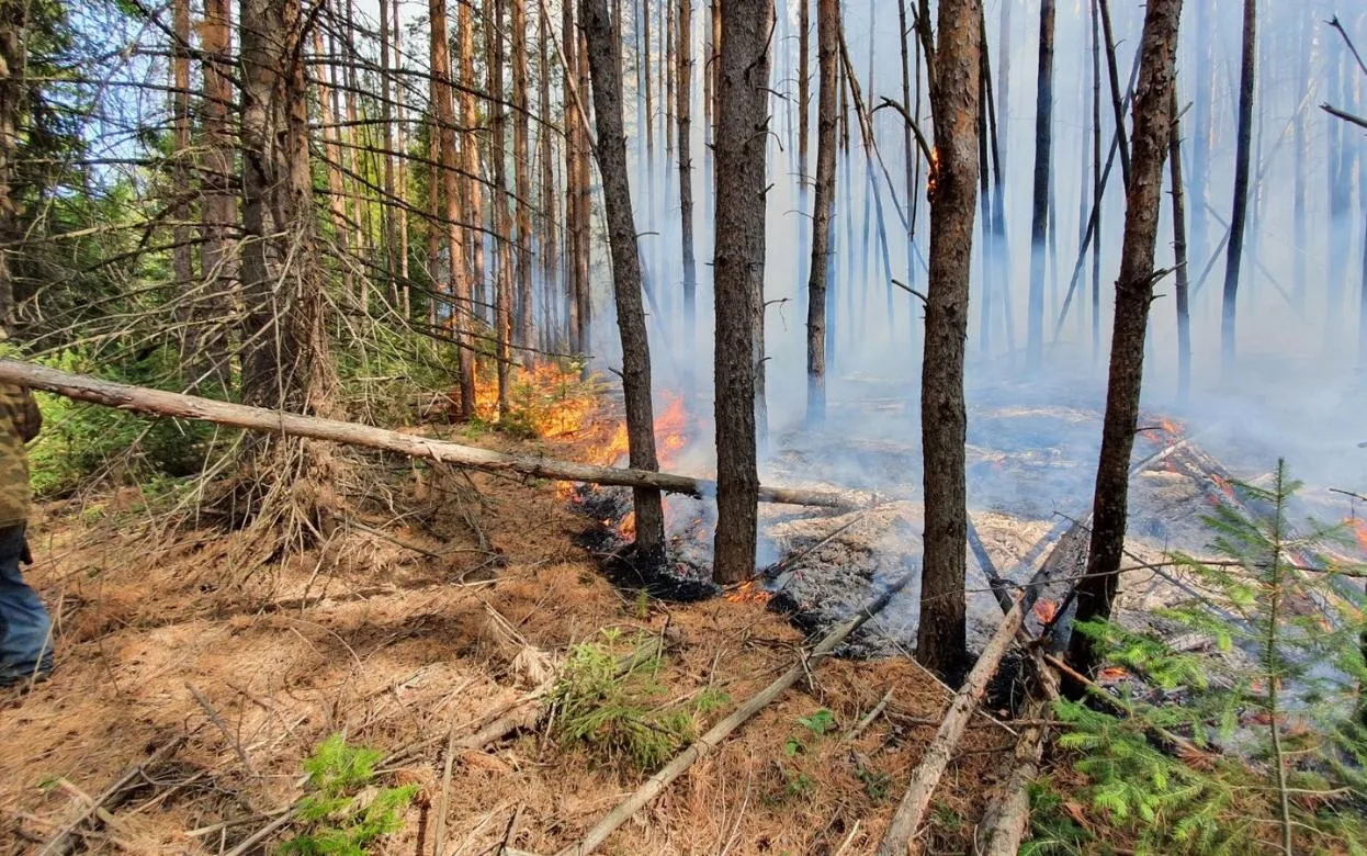 Пожароопасный сезон откроют в Удмуртии 17 апреля