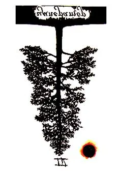 IV аркан Император (Перевернутое положение)